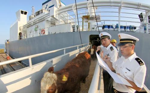 南美白對蝦進口報關(guān)清關(guān)全流程指導與國內(nèi)貿(mào)易代理服務(wù)方案